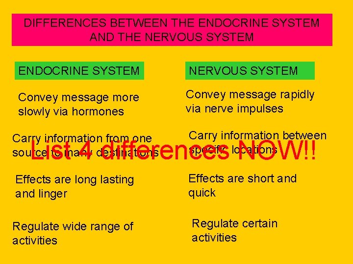 DIFFERENCES BETWEEN THE ENDOCRINE SYSTEM AND THE NERVOUS SYSTEM ENDOCRINE SYSTEM NERVOUS SYSTEM Convey