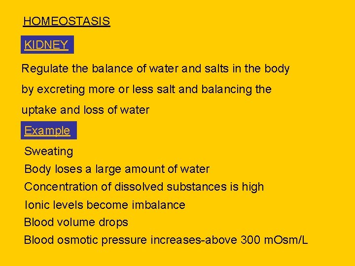 HOMEOSTASIS KIDNEY Regulate the balance of water and salts in the body by excreting
