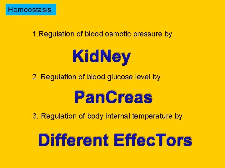 Homeostasis 1. Regulation of blood osmotic pressure by Kid. Ney 2. Regulation of blood