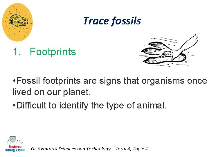Trace fossils 1. Footprints • Fossil footprints are signs that organisms once lived on Trace fossils 1. Footprints • Fossil footprints are signs that organisms once lived on