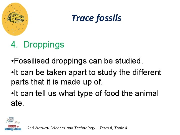 Trace fossils 4. Droppings • Fossilised droppings can be studied. • It can be Trace fossils 4. Droppings • Fossilised droppings can be studied. • It can be