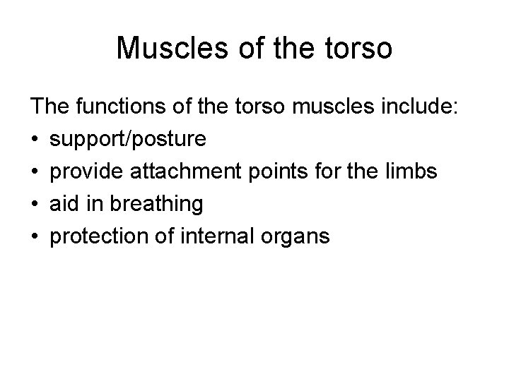 Muscles of the torso The functions of the torso muscles include: • support/posture •