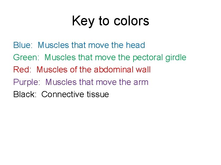 Key to colors Blue: Muscles that move the head Green: Muscles that move the