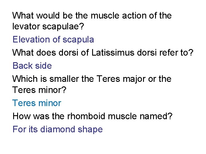 What would be the muscle action of the levator scapulae? Elevation of scapula What