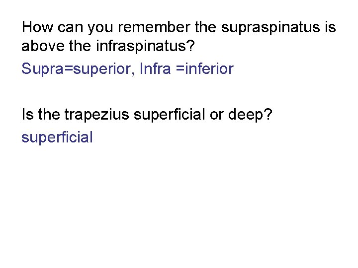 How can you remember the supraspinatus is above the infraspinatus? Supra=superior, Infra =inferior Is