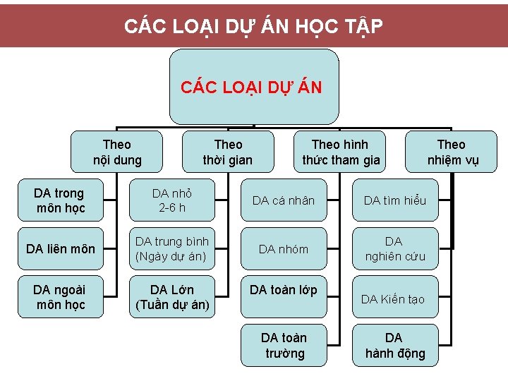 CÁC LOẠI DỰ ÁN HỌC TẬP CÁC LOẠI DỰ ÁN Theo nội dung Theo