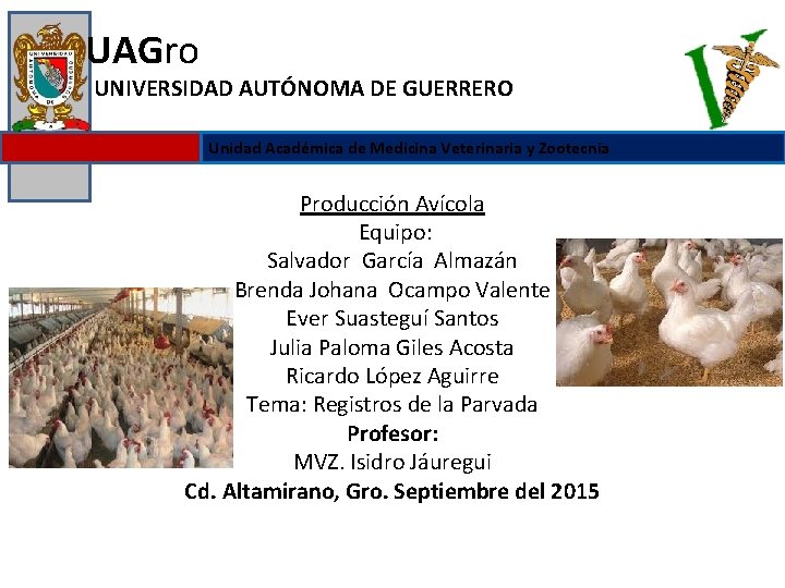 UAGro UNIVERSIDAD AUTÓNOMA DE GUERRERO Unidad Académica de Medicina Veterinaria y Zootecnia Producción Avícola