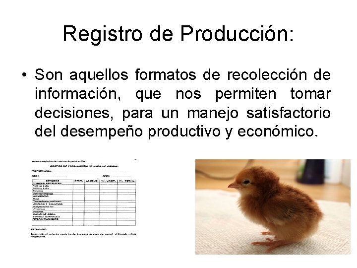 Registro de Producción: • Son aquellos formatos de recolección de información, que nos permiten