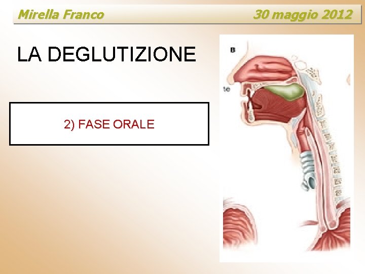 Mirella Franco LA DEGLUTIZIONE 2) FASE ORALE 30 maggio 2012 