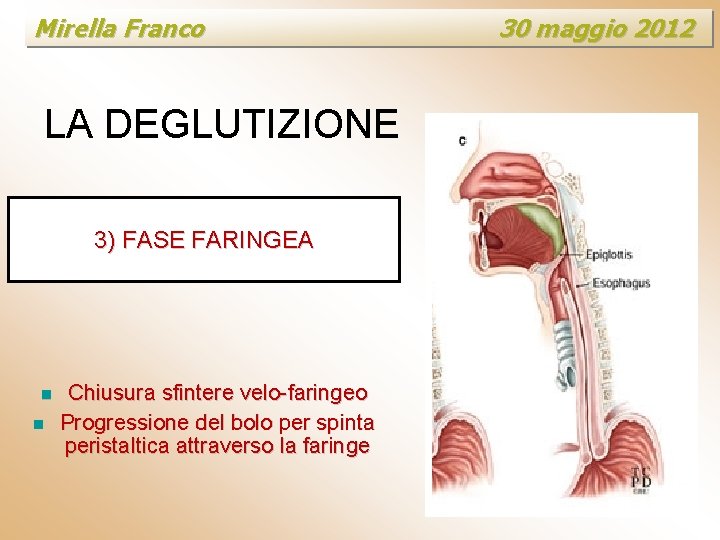 Mirella Franco LA DEGLUTIZIONE 3) FASE FARINGEA n n Chiusura sfintere velo-faringeo Progressione del