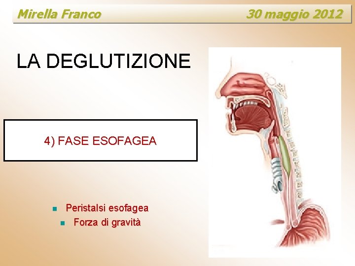 Mirella Franco LA DEGLUTIZIONE 4) FASE ESOFAGEA n Peristalsi esofagea n Forza di gravità