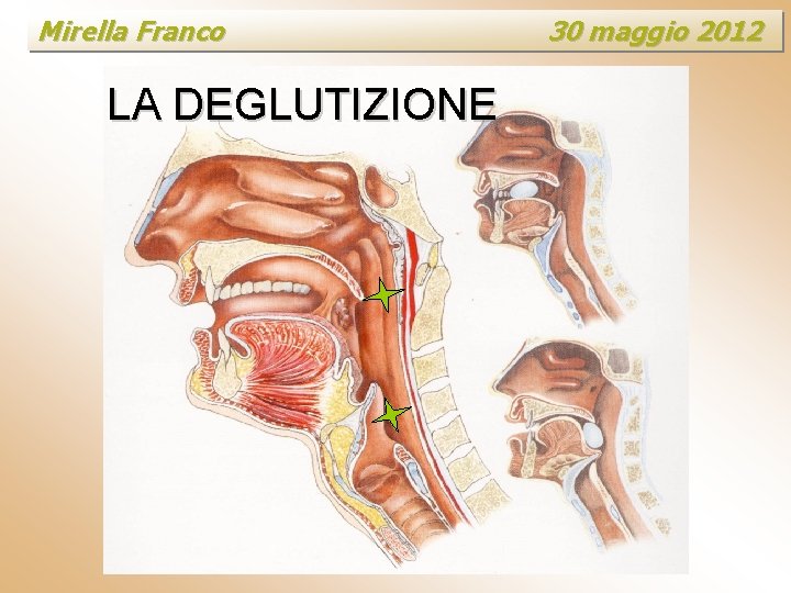 Mirella Franco LA DEGLUTIZIONE 30 maggio 2012 