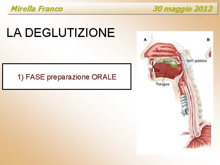 Mirella Franco LA DEGLUTIZIONE 1) FASE preparazione ORALE 30 maggio 2012 