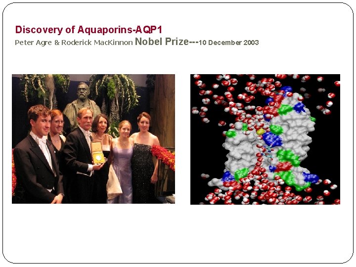 Discovery of Aquaporins-AQP 1 Peter Agre & Roderick Mac. Kinnon Nobel Prize---10 December 2003