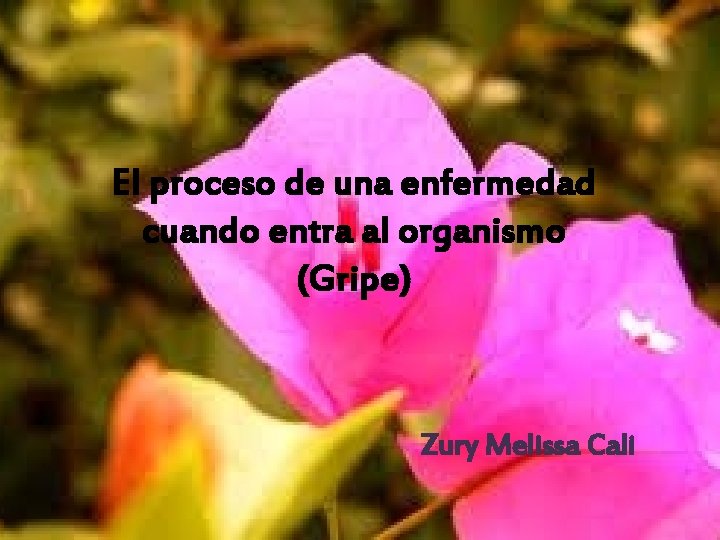 El proceso de una enfermedad cuando entra al organismo (Gripe) Zury Melissa Cali 