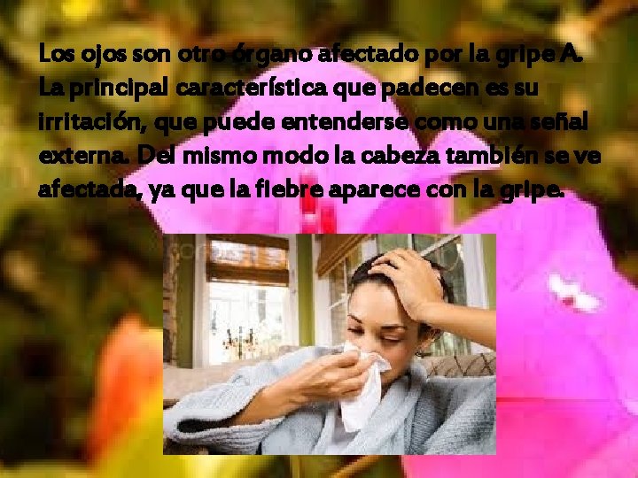 Los ojos son otro órgano afectado por la gripe A. La principal característica que Los ojos son otro órgano afectado por la gripe A. La principal característica que