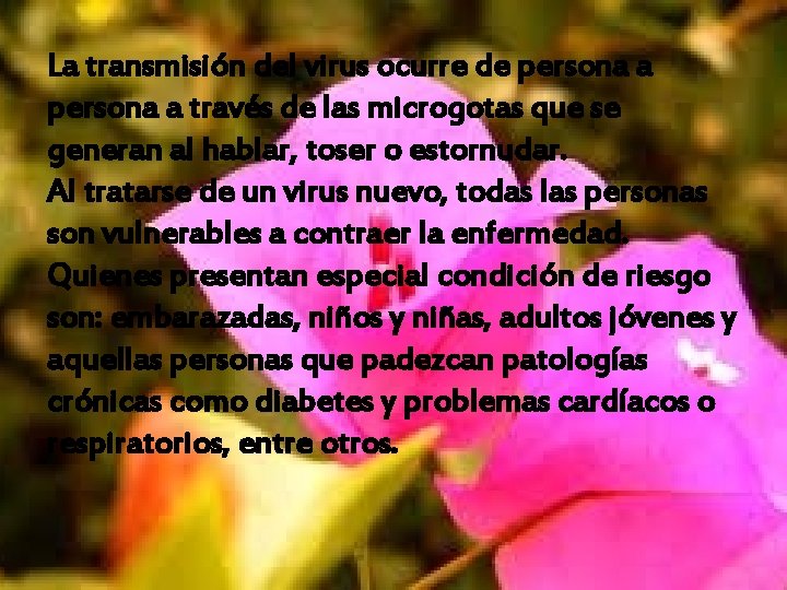 La transmisión del virus ocurre de persona a través de las microgotas que se