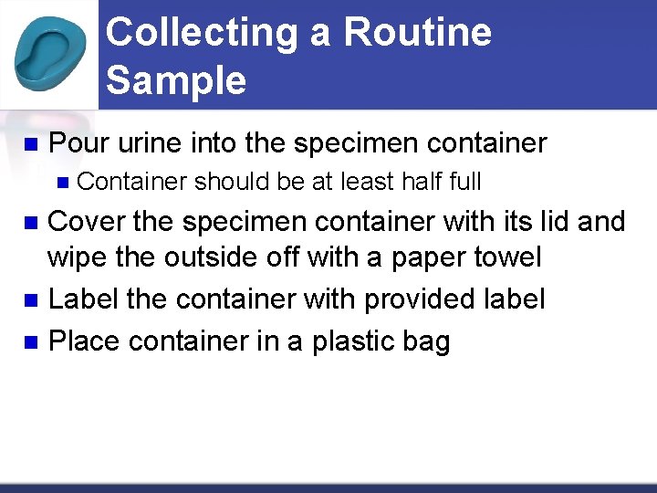 Collecting a Routine Sample n Pour urine into the specimen container n Container should