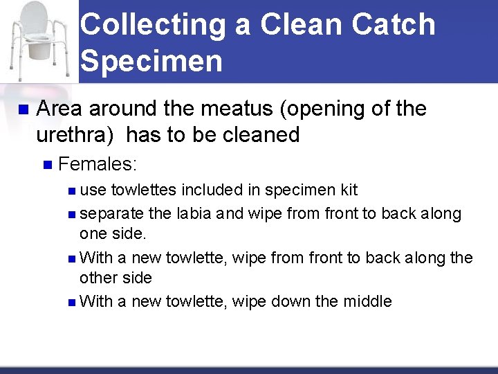 Collecting a Clean Catch Specimen n Area around the meatus (opening of the urethra)