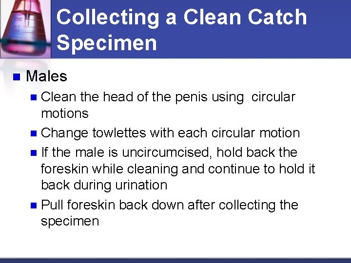 Collecting a Clean Catch Specimen n Males Clean the head of the penis using