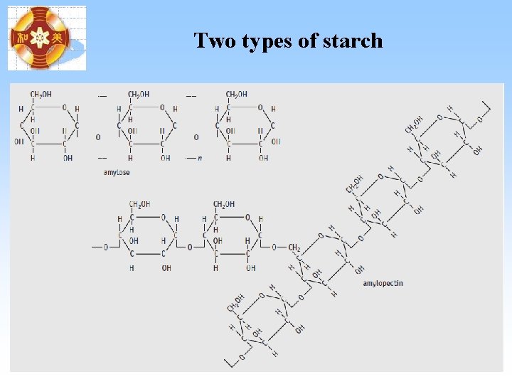 Two types of starch Two types of starch