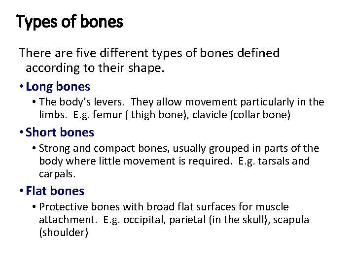 Types of bones There are five different types of bones defined according to their Types of bones There are five different types of bones defined according to their