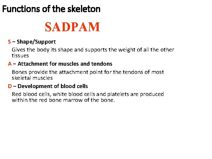 Functions of the skeleton SADPAM S – Shape/Support Gives the body its shape and Functions of the skeleton SADPAM S – Shape/Support Gives the body its shape and