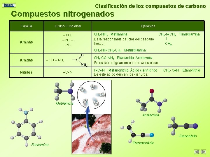 Clasificación de los compuestos de carbono ÍNDICE Compuestos nitrogenados Familia Grupo Funcional Aminas –