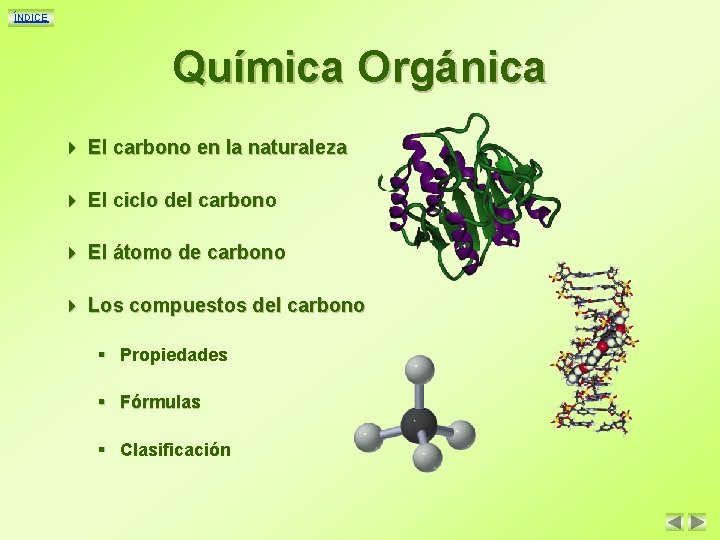 ÍNDICE Química Orgánica 4 El carbono en la naturaleza 4 El ciclo del carbono