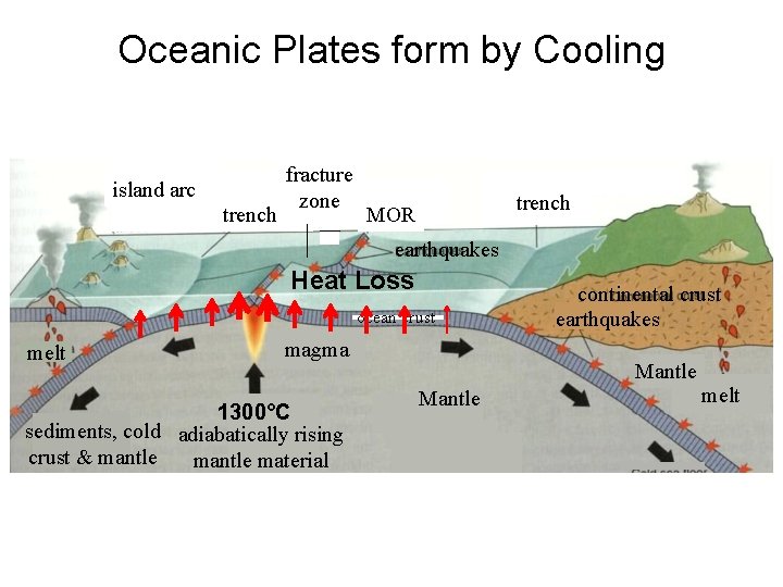 Oceanic Plates form by Cooling island arc trench fracture zone trench MOR earthquakes Heat
