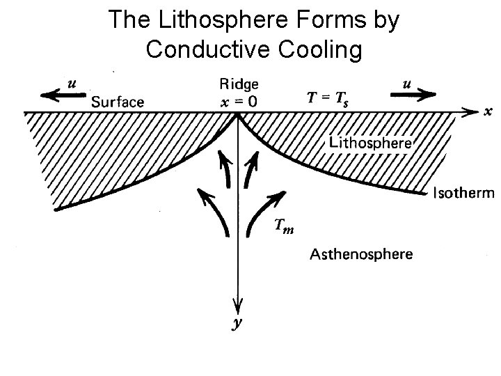 The Lithosphere Forms by Conductive Cooling 