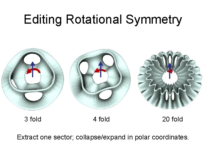 Editing Rotational Symmetry 3 fold 4 fold 20 fold Extract one sector; collapse/expand in