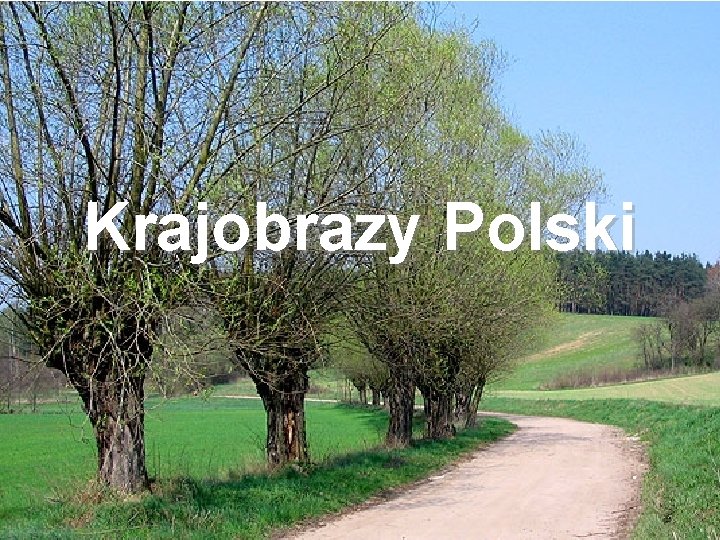 Krajobrazy Polski 