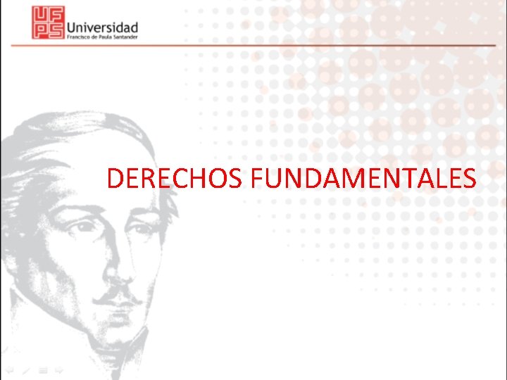 DERECHOS FUNDAMENTALES 