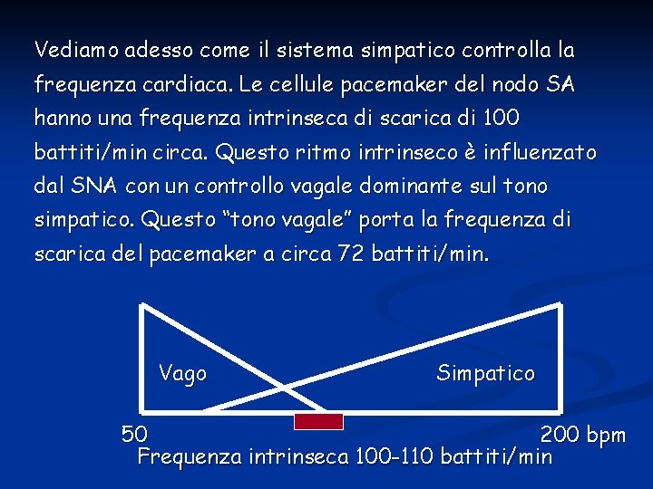 Vediamo adesso come il sistema simpatico controlla la frequenza cardiaca. Le cellule pacemaker del