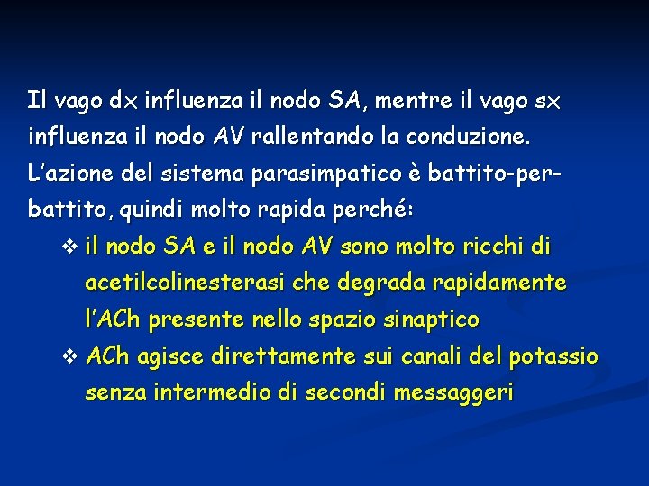 Il vago dx influenza il nodo SA, mentre il vago sx influenza il nodo