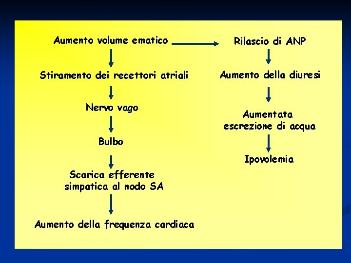 Aumento volume ematico Stiramento dei recettori atriali Nervo vago Rilascio di ANP Aumento della