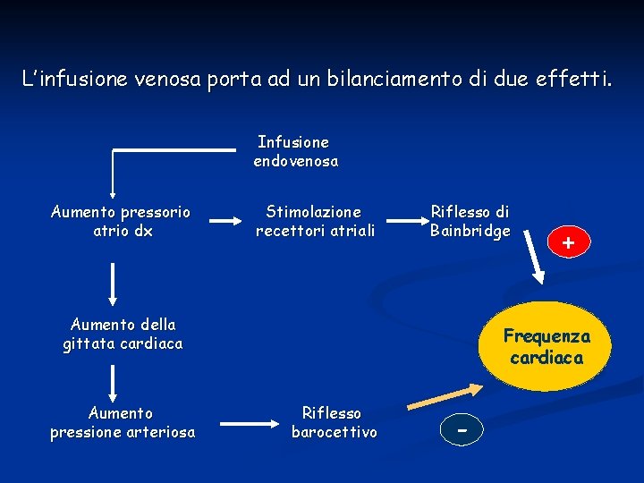 L’infusione venosa porta ad un bilanciamento di due effetti. Infusione endovenosa Aumento pressorio atrio L’infusione venosa porta ad un bilanciamento di due effetti. Infusione endovenosa Aumento pressorio atrio
