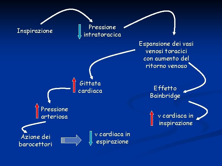 Inspirazione Pressione intratoracica Espansione dei vasi venosi toracici con aumento del ritorno venoso Gittata Inspirazione Pressione intratoracica Espansione dei vasi venosi toracici con aumento del ritorno venoso Gittata