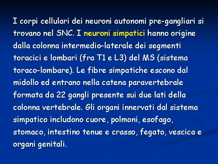 I corpi cellulari dei neuroni autonomi pre-gangliari si trovano nel SNC. I neuroni simpatici I corpi cellulari dei neuroni autonomi pre-gangliari si trovano nel SNC. I neuroni simpatici