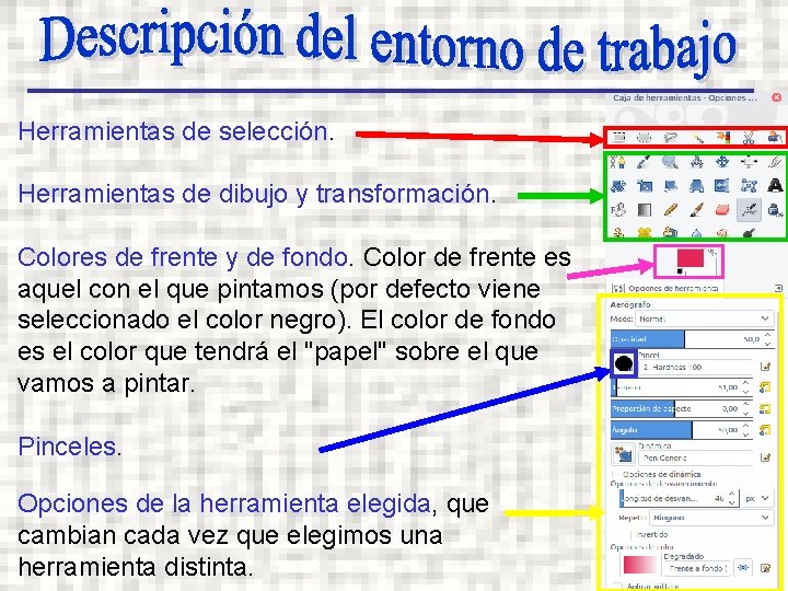 Herramientas de selección. Herramientas de dibujo y transformación. Colores de frente y de fondo.