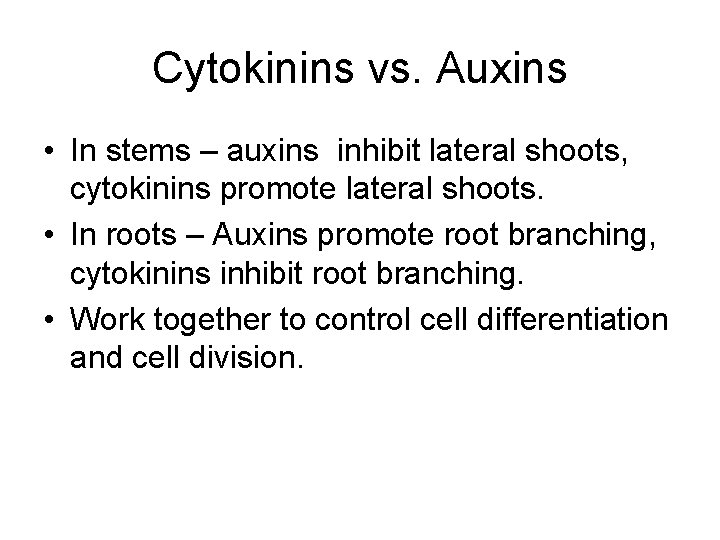 Cytokinins vs. Auxins • In stems – auxins inhibit lateral shoots, cytokinins promote lateral