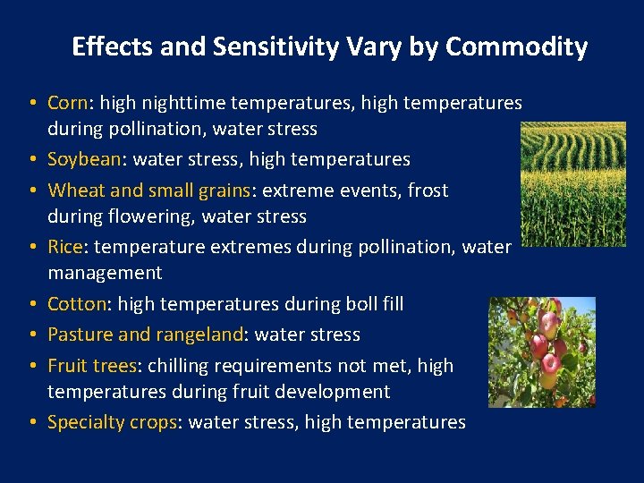 Effects and Sensitivity Vary by Commodity • Corn: high nighttime temperatures, high temperatures during
