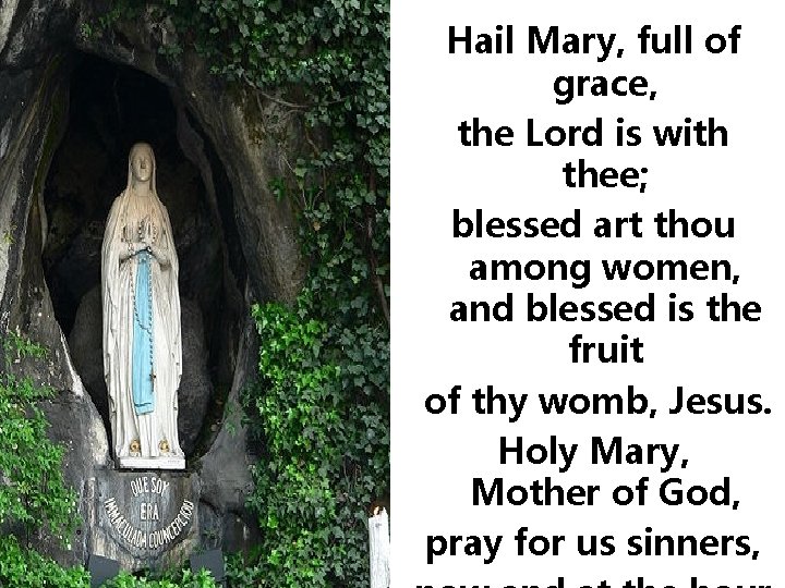 Hail Mary, full of grace, the Lord is with thee; blessed art thou among