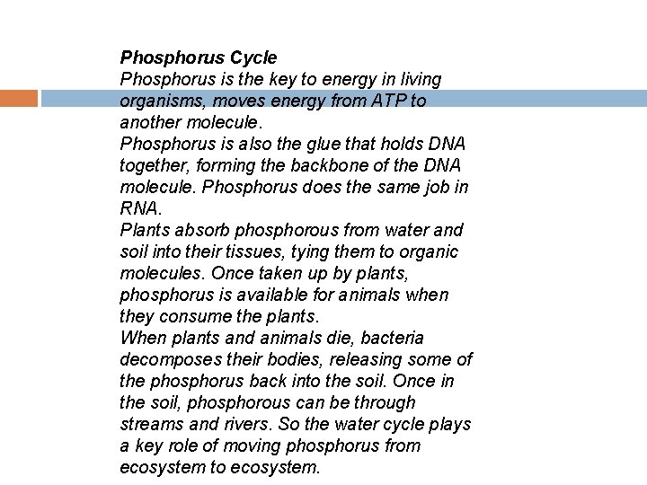 Phosphorus Cycle Phosphorus is the key to energy in living organisms, moves energy from