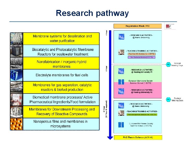 Research pathway 