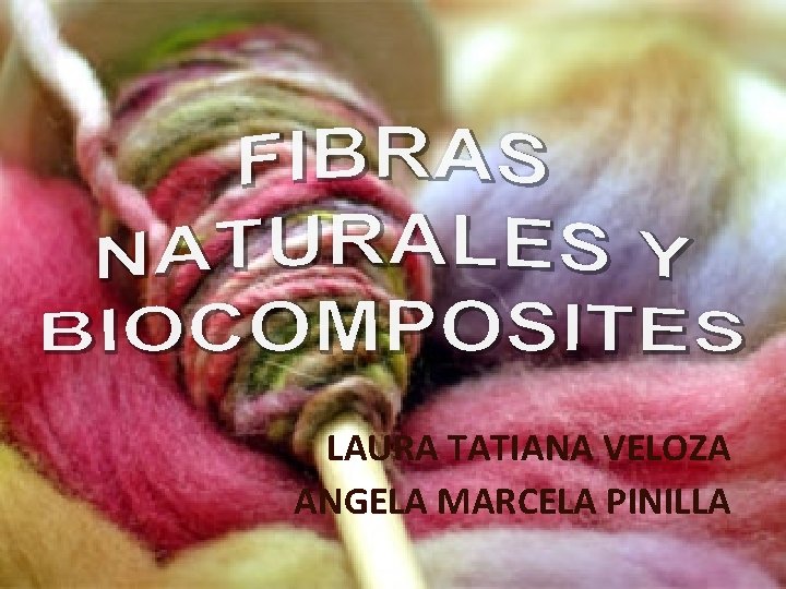 LAURA TATIANA VELOZA ANGELA MARCELA PINILLA 