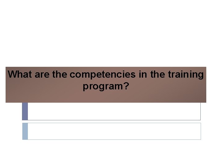 What are the competencies in the training program? 
