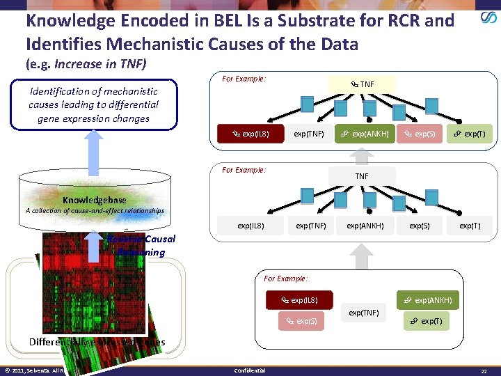 Knowledge Encoded in BEL Is a Substrate for RCR and Identifies Mechanistic Causes of