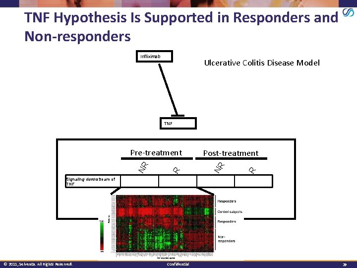 TNF Hypothesis Is Supported in Responders and Non-responders Infliximab Ulcerative Colitis Disease Model TNF